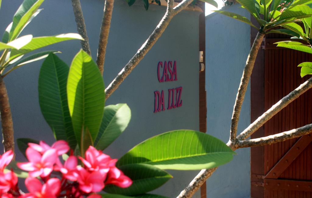 Flor Morena Búzios